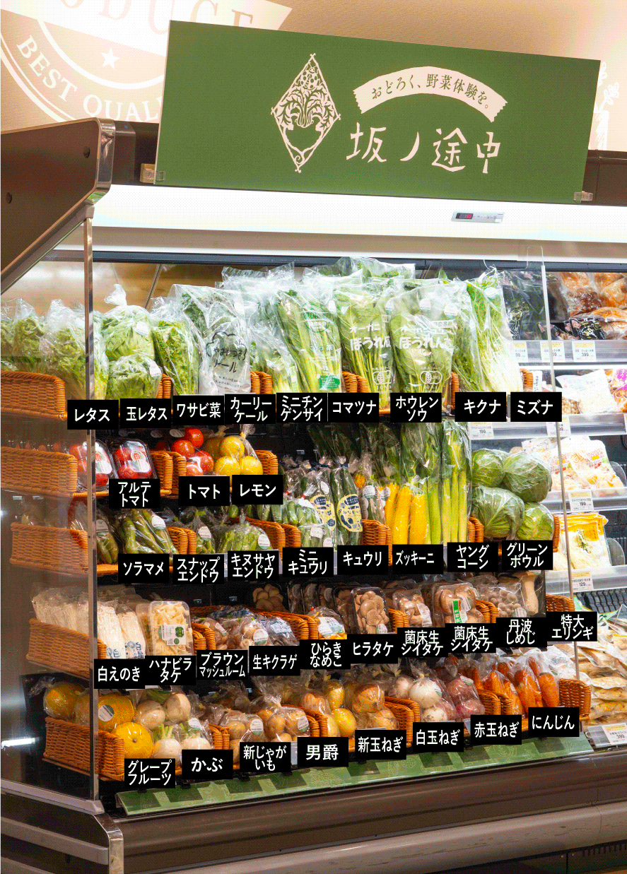 デイリーカナート洛北阪急スクエア店