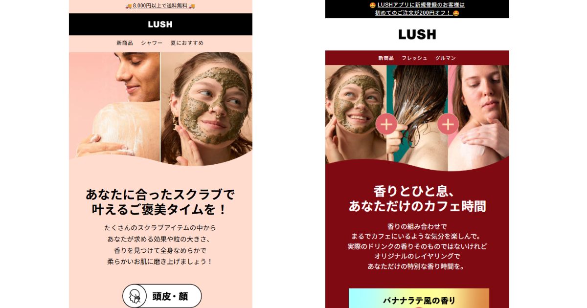 ニュースレターの一例